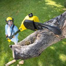 Best Lawn Mowing  in Running Springs, CA